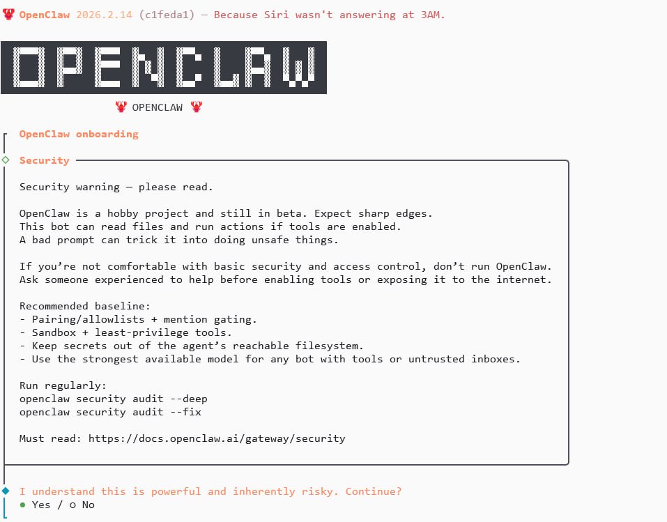 OpenClaw onboarding terminal screen