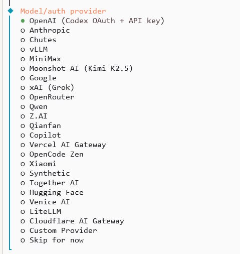 OpenClaw model/auth provider selection screen